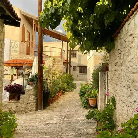 Juliet By Trulycyprus Dhoros